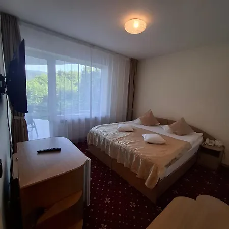Pensiunea Warthe Vendégház